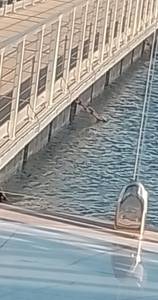 Femme célibataire 48 ans à Villeurbanne