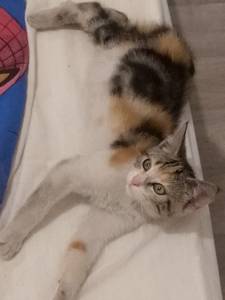 rencontre avec Edmund