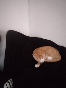 Edmond rencontre avec Edmond