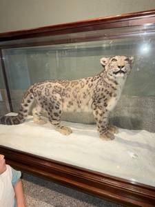 Yessi23091, femme coquine de 28 ans - Madrid