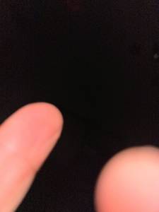 Rex rencontre avec Rex