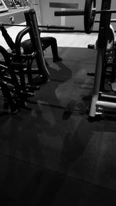 Dominick rencontre avec Dominick