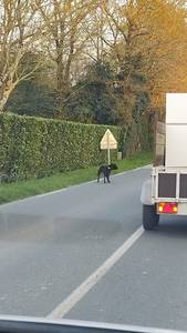 rencontre avec Felipe