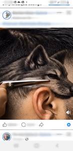 Troy rencontre avec Troy