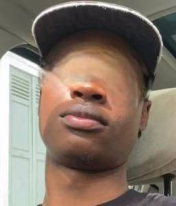 Alvin rencontre avec Alvin