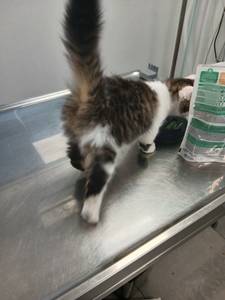 rencontre avec Marty