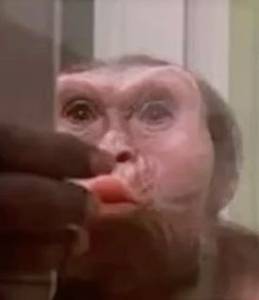 rencontre avec Hazel