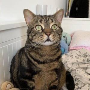 rencontre avec Rudolph